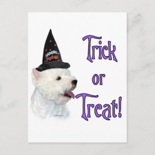 Cartão Postal Trilha de Terrier Branco da Highland Ocidental