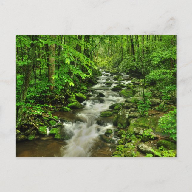 Cartão Postal Trilha do Motor da Forja de Raios (Frente)