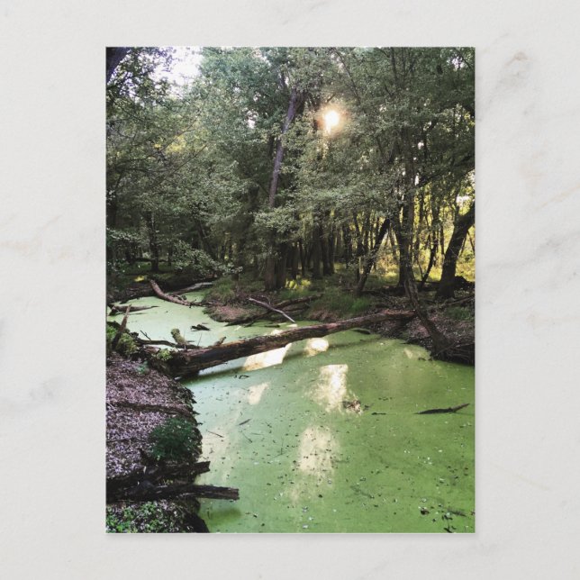 Cartão Postal trilha do ponto de areia (Frente)