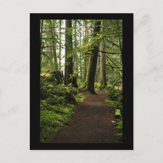 Cartão Postal Trilha entre Giants