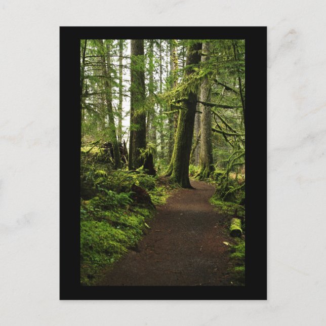 Cartão Postal Trilha entre Giants (Frente)