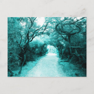 Cartão Postal Trilha Misteriosa, Caminho do Luar, Árvores