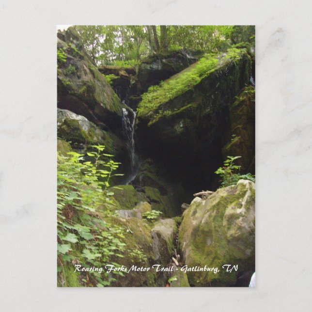 Cartão Postal Trilha Motor Roaring Forks - Gatlinburg, TN (Frente)