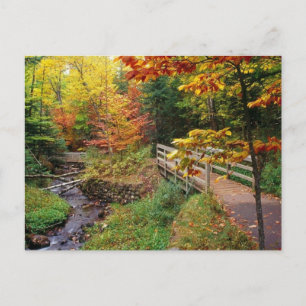 Cartão Postal Trilha Munising Falls, Condado de Alger, Michigan