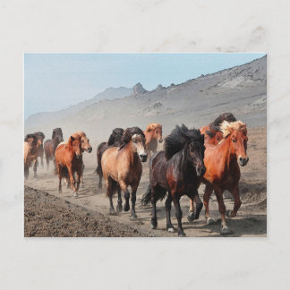 Cartão Postal Trilha Ocidental