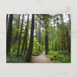 Cartão Postal Trilha para Marymere Falls II