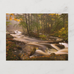 Cartão Postal Trilhas Fluindo Trilha Appalachiana   Vermont