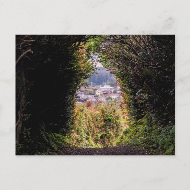 Cartão Postal Trinidad (Frente)