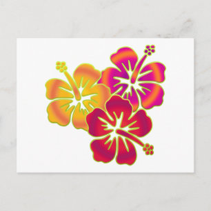 Cartão Postal trio do hibiscus