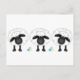 Cartão Postal Trio Of Sheep