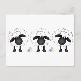 Cartão Postal Trio Of Sheep