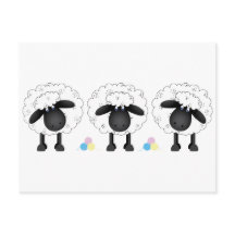 Trio Of Sheep