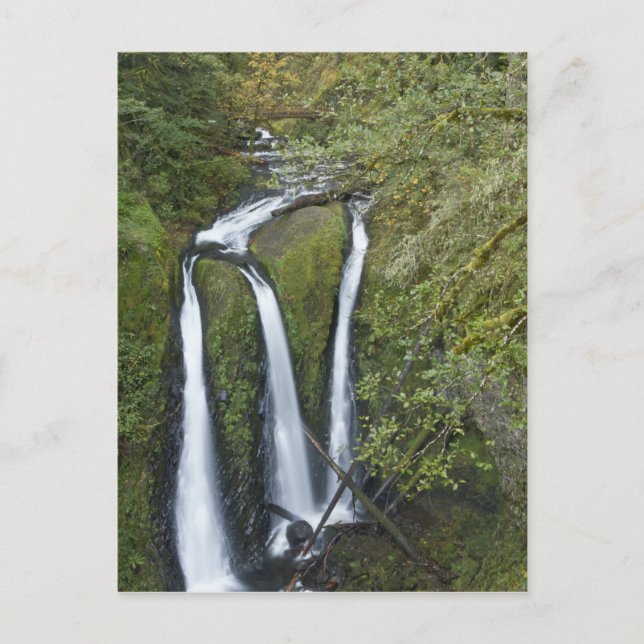 Cartão Postal Triple Falls, Gorge do Rio Columbia (Frente)