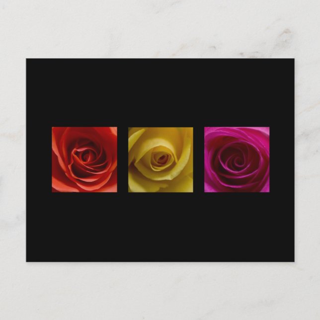 Cartão Postal Triptych Rosa cor-de-rosa amarelo laranja (Frente)