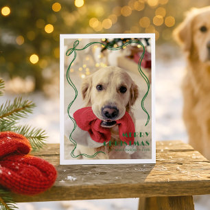 Cartão Postal Tripulação de Fita Vermelha Whimsical Foto de Pet 