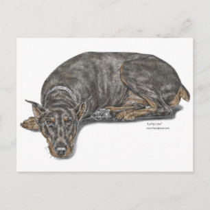 Cartão Postal Triste Culpado, Procurando Doberman