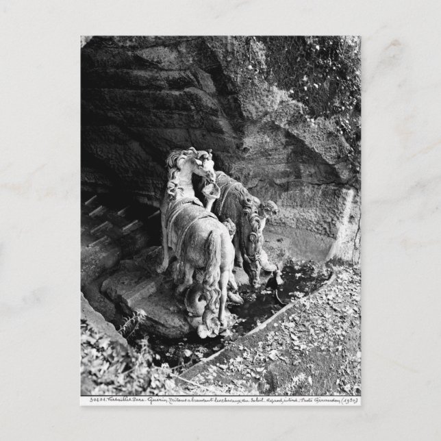 Cartão Postal Tritons regando os cavalos do sol (Frente)