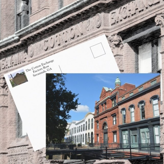 Cartão Postal Troca de Algodão de Savannah Fatores Linha Fotográ (Criador carregado)