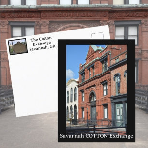 Cartão Postal Troca de Algodão de Savannah Fotográfico