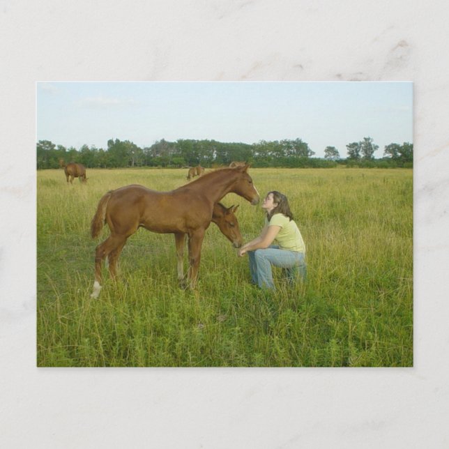 Cartão Postal Trocando a placa de Posto de Espíritos (Frente)