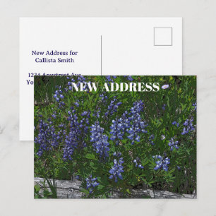 Cartão Postal Trocando de Endereço dos Lupinos