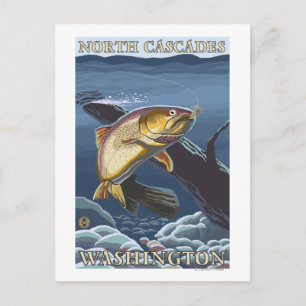 Cartão Postal Troço De Pesca De Trutas - Cascades Do Norte,