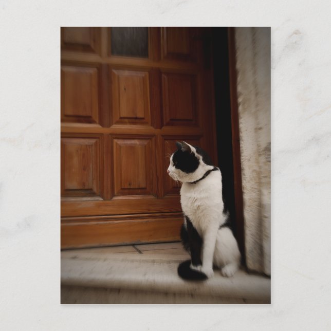 Cartão Postal Trogir 16 (Frente)