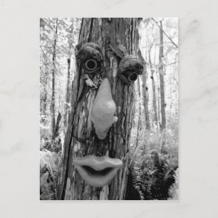 Cartão Postal Troll da árvore em uma árvore Big Cypress.