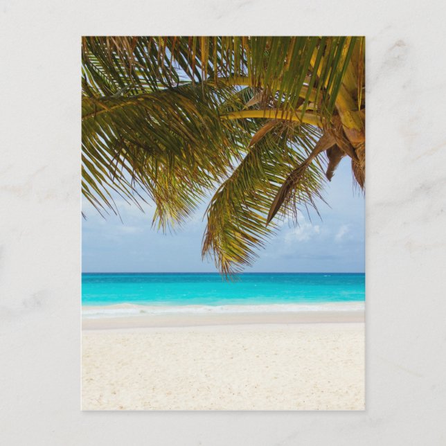 Cartão Postal Tropical beach (Frente)