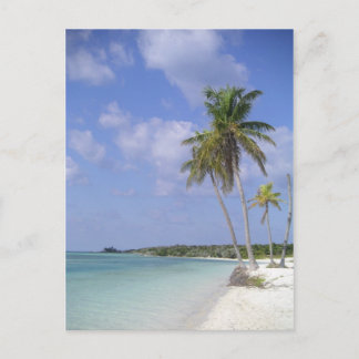 Cartão Postal tropical beach postcard