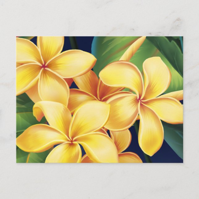 Cartão postal Tropical Paraíso Plumeria (Frente)