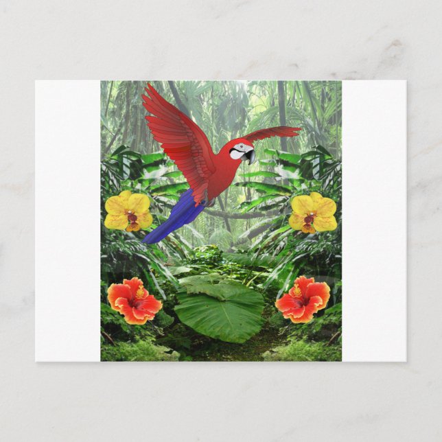 Cartão Postal Tropical Rain Forest (Frente)