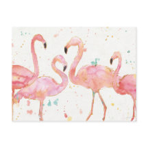 Tropical | Recolha de Flamingos