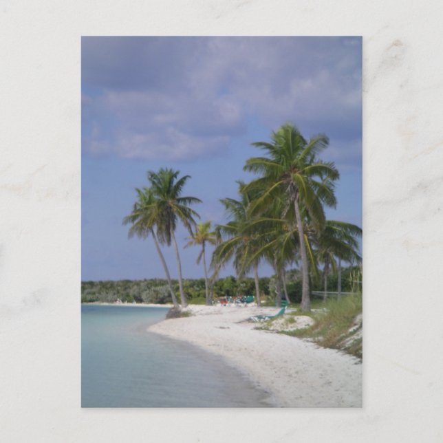 Cartão Postal Tropical Settings (Frente)