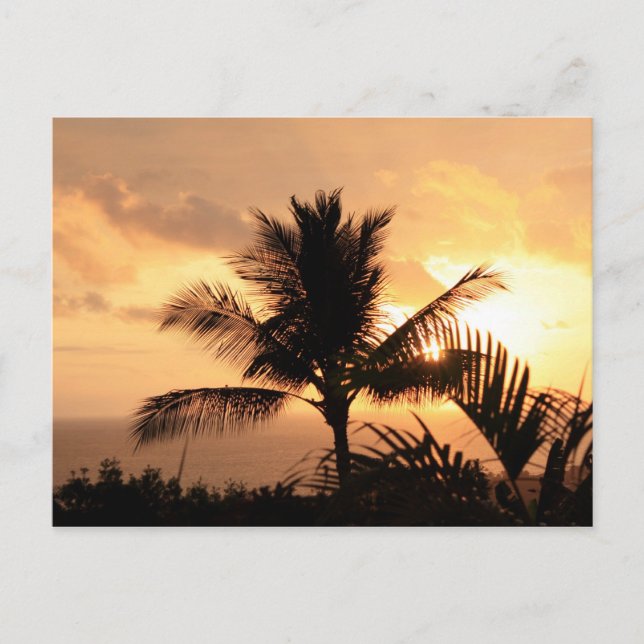 Cartão postal tropical sunset ouro (Frente)