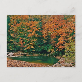 Cartão Postal Trout Stream, Virgínia Ocidental