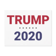 Trump 2020 (Eleição nos EUA)
