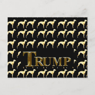 CARTÃO POSTAL TRUMP 2024