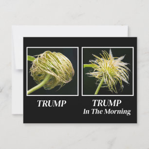 Cartão Postal Trump Hair