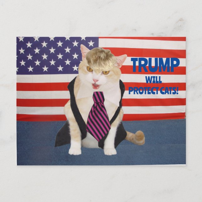 Cartão postal Trump Kitty (Frente)