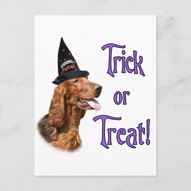 Cartão Postal Truque de Irish Setter (Frente)