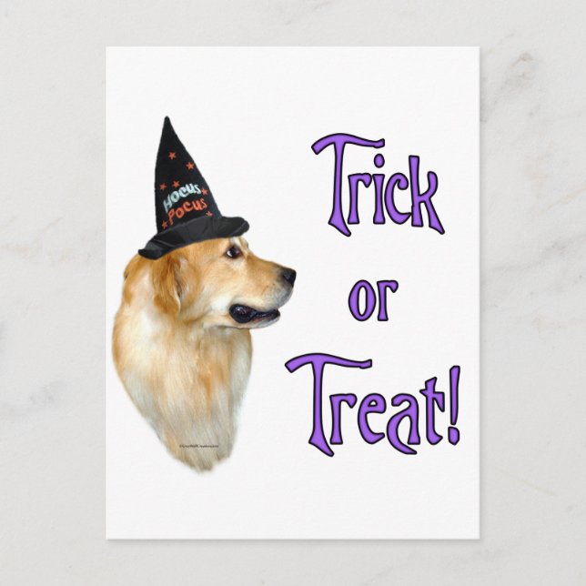 Cartão Postal Truque do ouro Retriever (Frente)