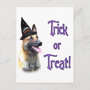 Cartão Postal Truque Malinois Belga