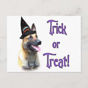 Cartão Postal Truque Malinois Belga