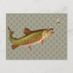 Cartão Postal Truta Arco-Íris de Pesca com Mosca Vintage