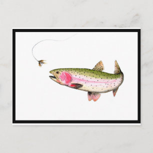 Cartão Postal Truta Arco-Íris Pesca com Mosca