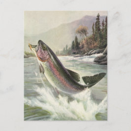 Cartão Postal Truta Arco-Íris, Pescador Antigo Pescando Peixe