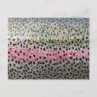 Cartão Postal Truta Arco-Íris por PadrãoWear ©