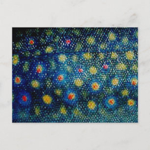 Cartão Postal Truta Brook por padrãoWear ©