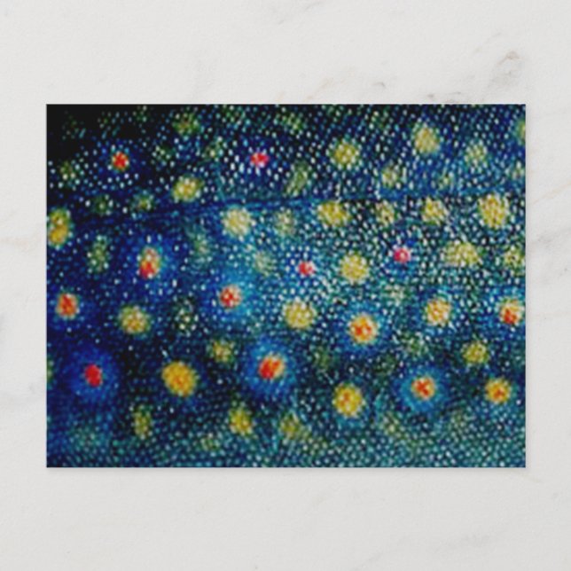 Cartão Postal Truta Brook por padrãoWear © (Frente)